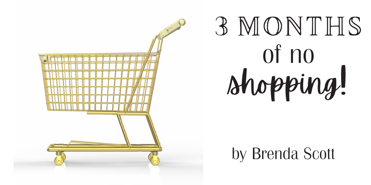 3 months of no shopping by Brenda Scott The Well Fed Homestead STAR Homeschool